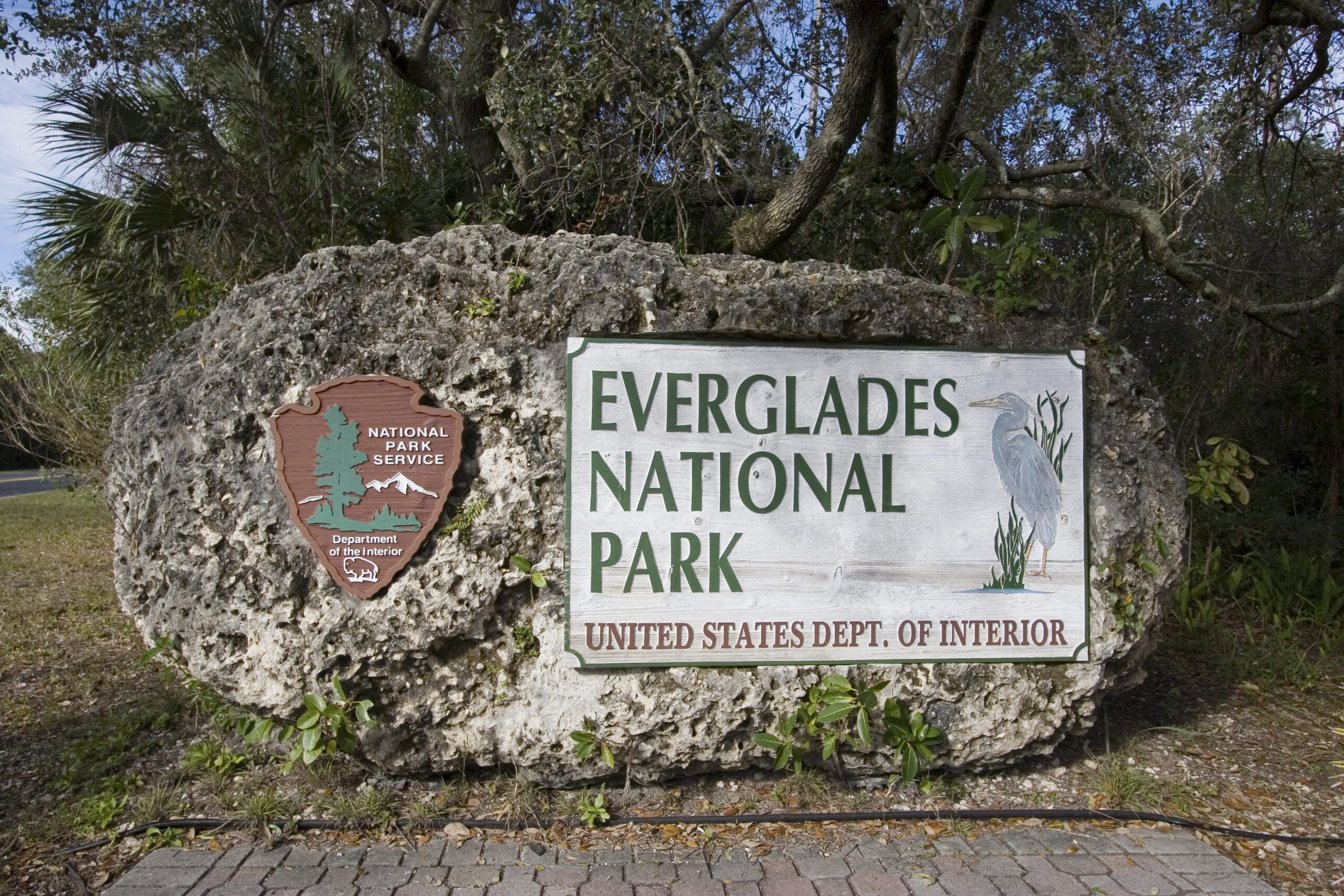 Lunch & Learn: Steven Henry & The Everglades