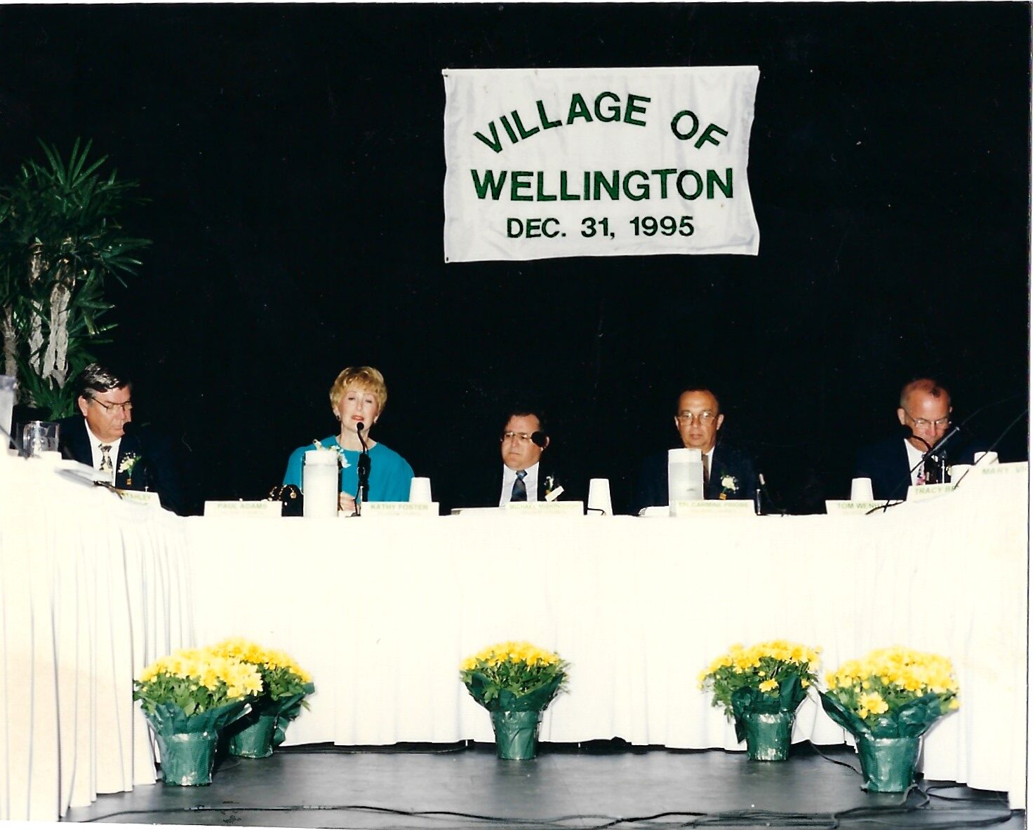 Inaugural Village of Wellington Town Council Meeting